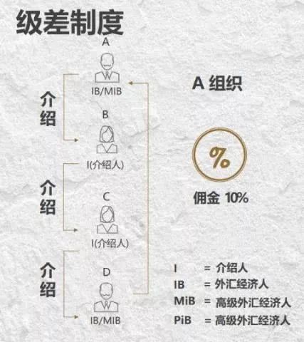 此前，就有媒体记者深入调查发现，会员在PTFX普顿外汇的所有资金全部分流至国内的多家私人公司的账户，而非对外宣传的印尼BCA银行，包括厦门拓善达商贸有限公司、厦门杨林峰装饰设计有限公司、南昌一站物流有限公司、三明市益森贸易有限公司、广州仁佳信息科技有限公司等。