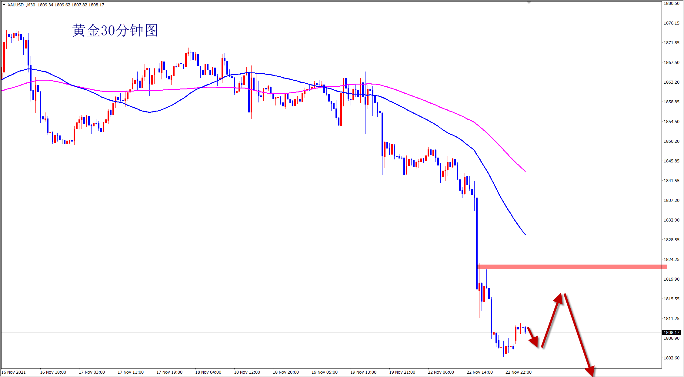 2021-11-23 9-03-24.png